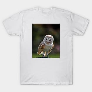 Barney, A Small but Frisky Owl T-Shirt